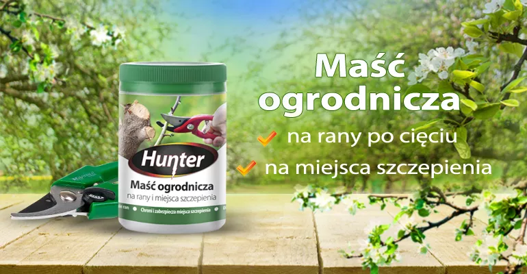 Maść ogrodnicza