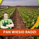 Kiedy zrobić rozsady kapusty