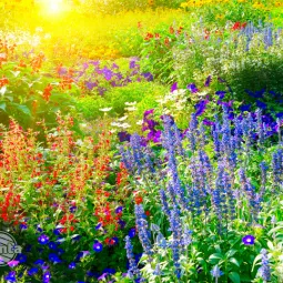 Ogród kwitnący do później jesieni