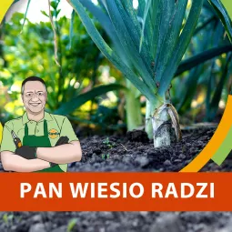 Kiedy siać pora