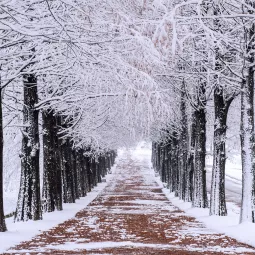 Walka z gołoledzią z ogrodem w tle