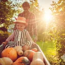 Nawożenie jesienne - pytania i odpowiedzi