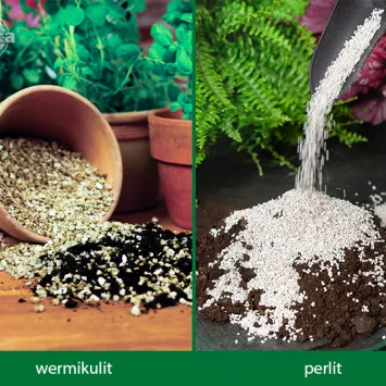 Wermikulit i perlit - dodatki do podłoża