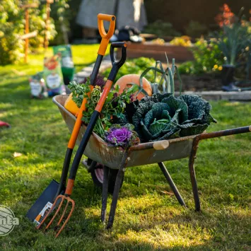 Przygotowaniu ogrodu do zimowania
