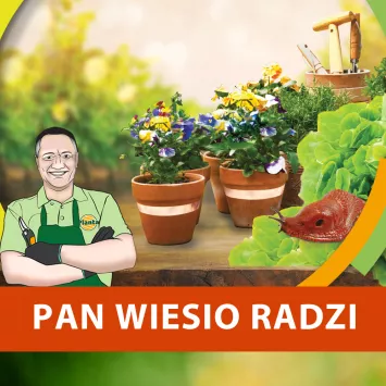 Taśma miedziowana sposobem na ekologiczną walkę ze ślimakami