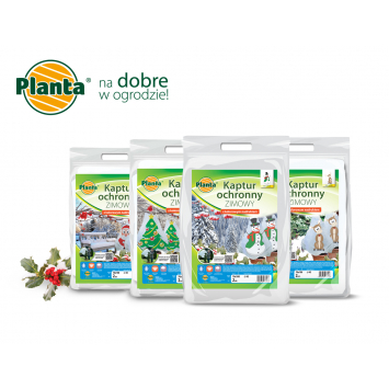 Zimą ogród nie musi być nudny!